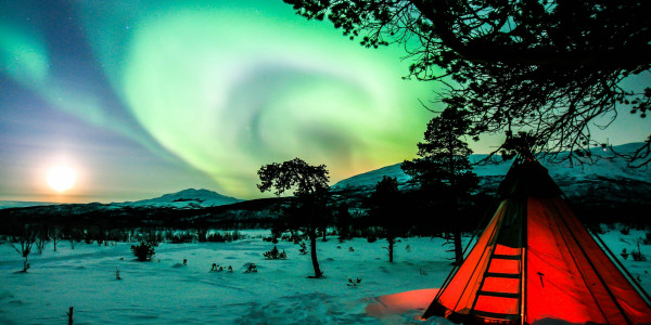 Photo | Tent under the northern lights