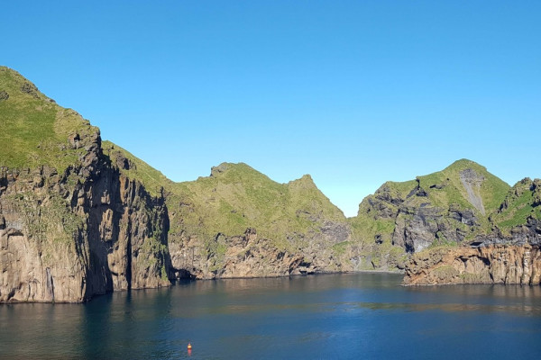 Kayak and Puffins