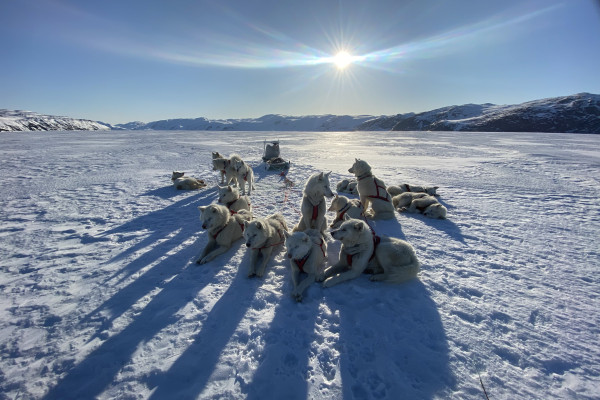 Arctic Living