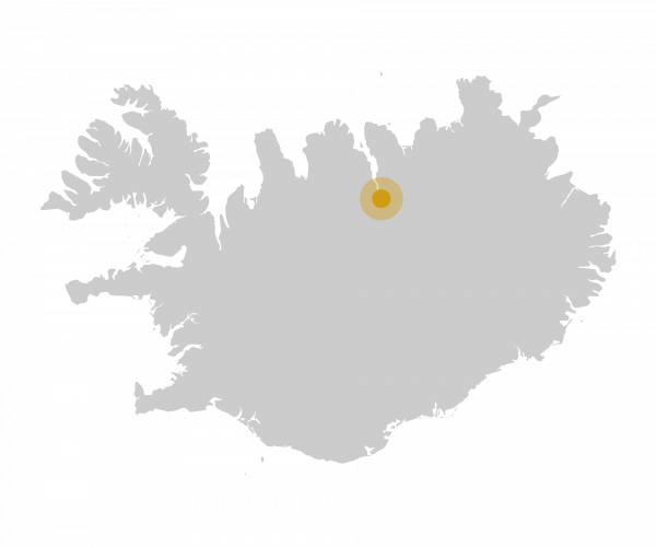 The marine life of North Iceland