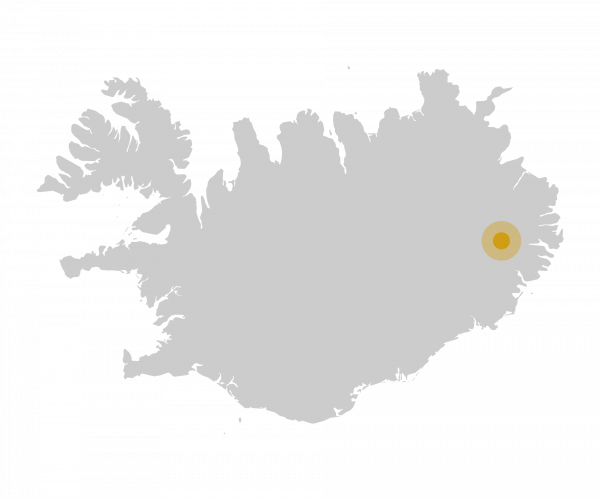 The forests and fjords of East Iceland